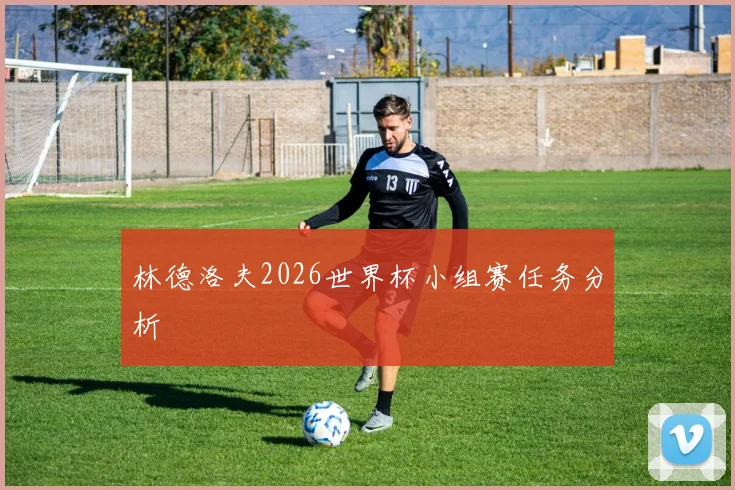 林德洛夫2026世界杯小组赛任务分析