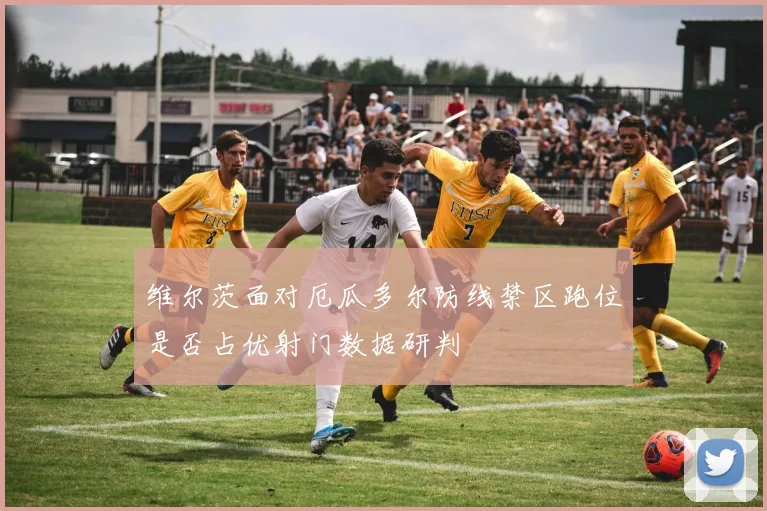 维尔茨面对厄瓜多尔防线禁区跑位是否占优射门数据研判