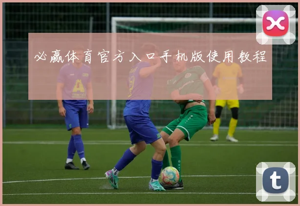 必赢体育官方入口手机版使用教程
