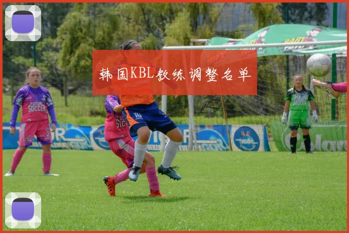 韩国KBL教练调整名单