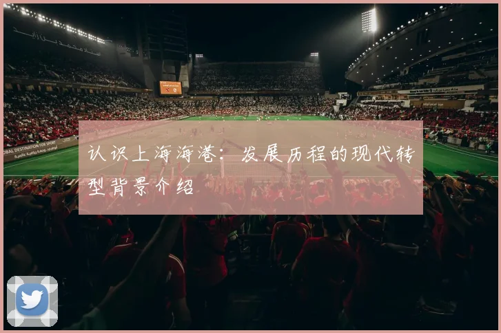 认识上海海港:发展历程的现代转型背景介绍