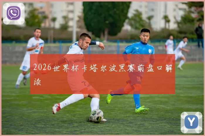 2026世界杯卡塔尔波黑赛前盘口解读